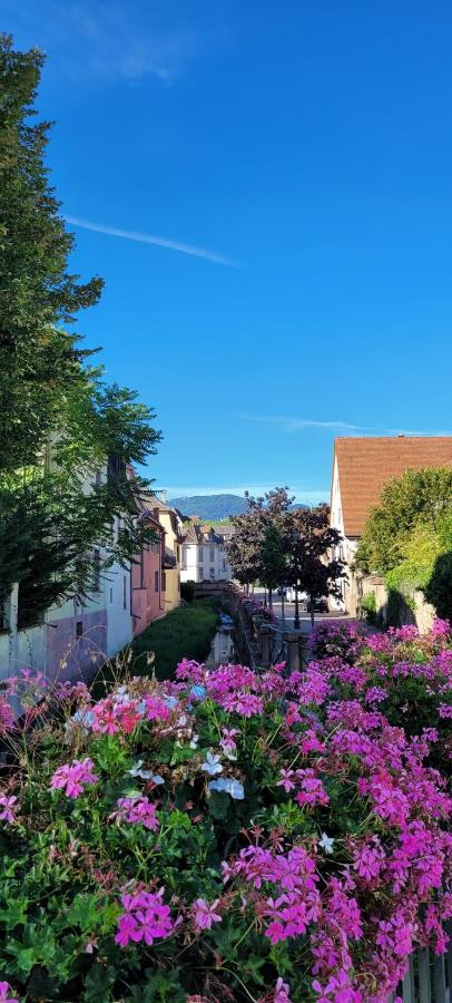 Le Cocon Du Rimbach Apartamento Soultz-Haut-Rhin Exterior foto