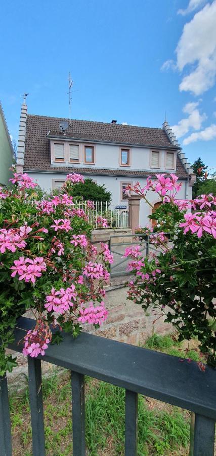 Le Cocon Du Rimbach Apartamento Soultz-Haut-Rhin Exterior foto